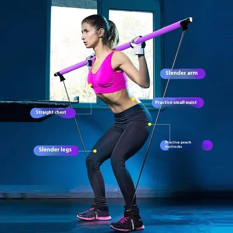 Multi Functional Fitness Stick