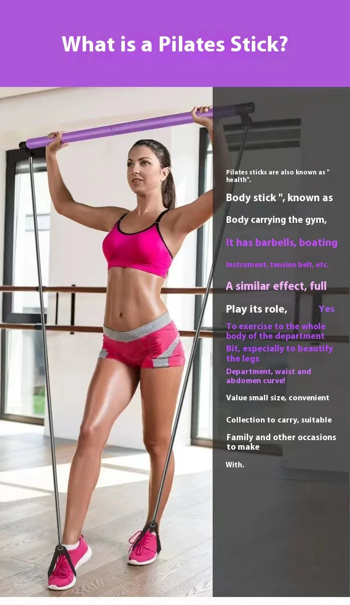 Multi Functional Fitness Stick
