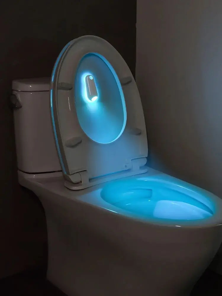 Toilet Night Light Motion Sensor