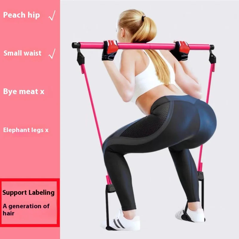 Multi Functional Fitness Stick