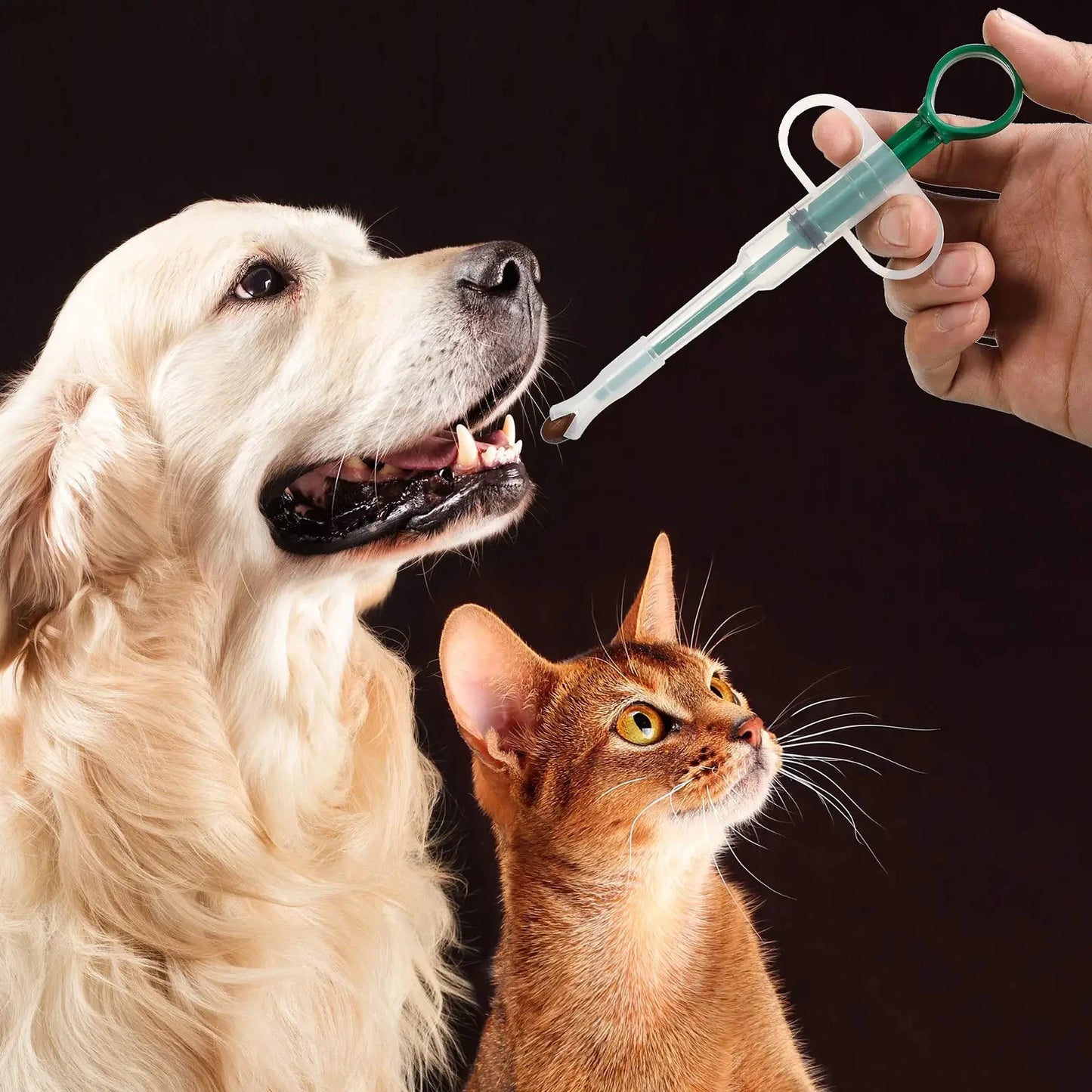 3pcs Pet Medication Dispenser