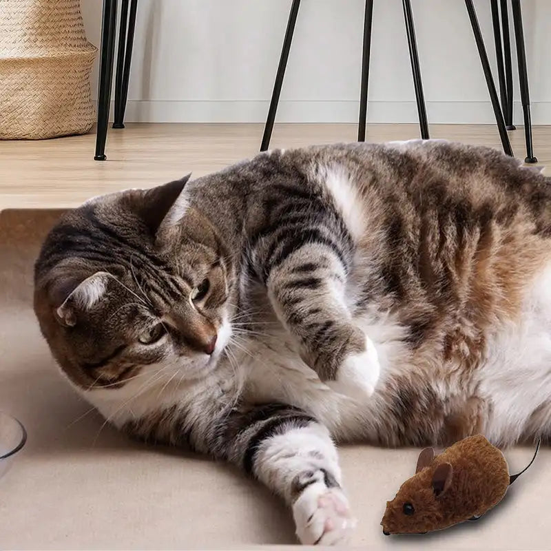 Pet Mouse Toy