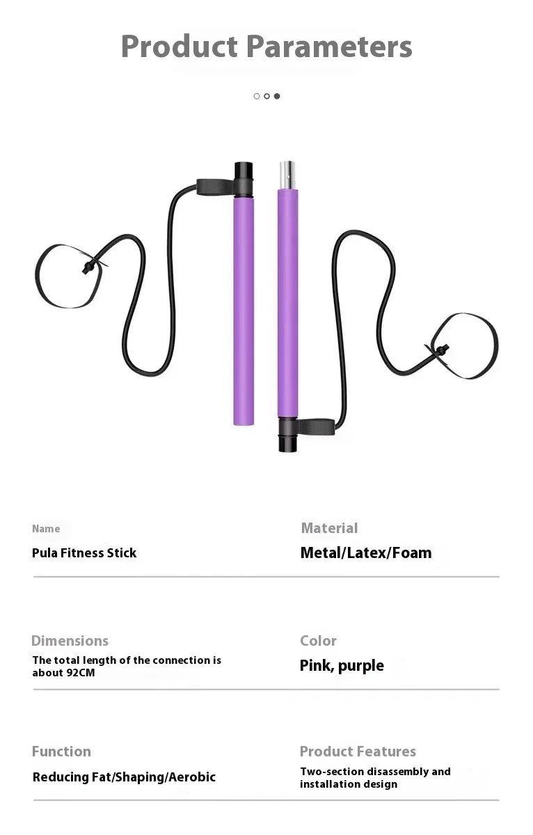 Multi Functional Fitness Stick