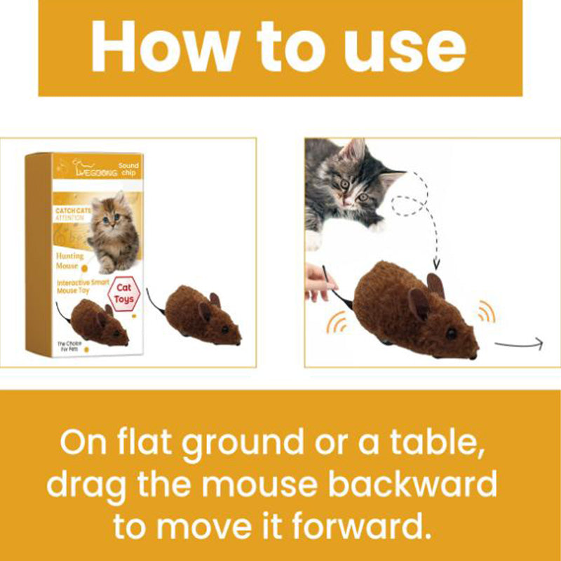 Pet Mouse Toy