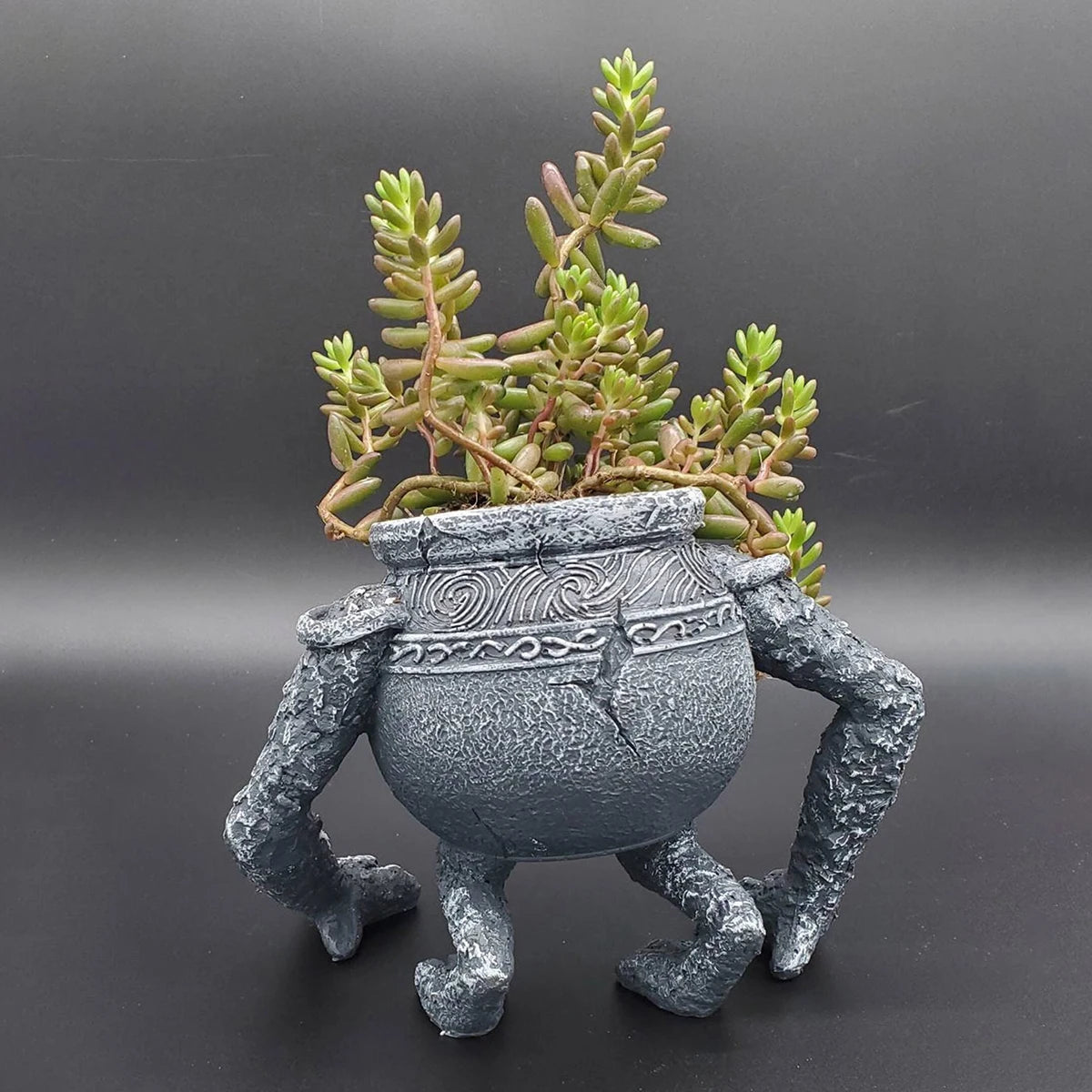 Gardening Llanting Decoration