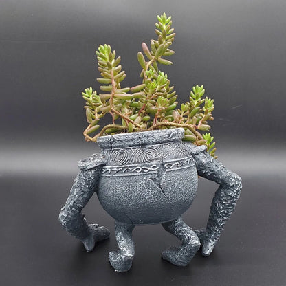 Gardening Llanting Decoration