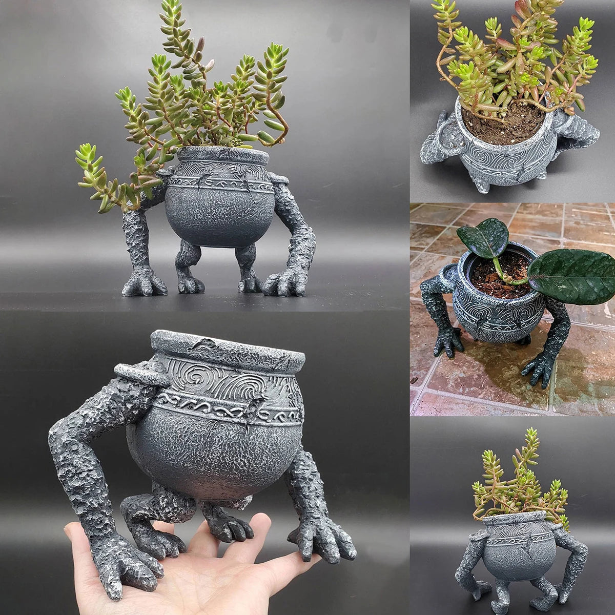 Gardening Llanting Decoration